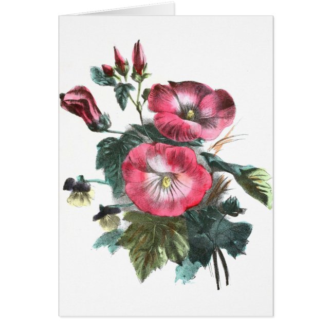 Cartão Desenho do vintage: Mallow vermelho (Frente)