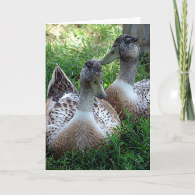 Cartão Desenhos de Prata (Frente)