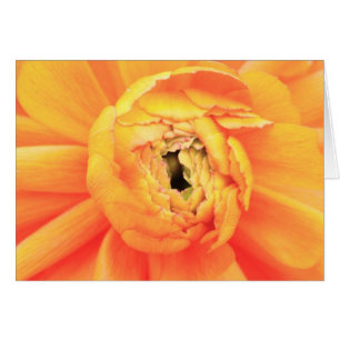 Cartão Desenrolamento