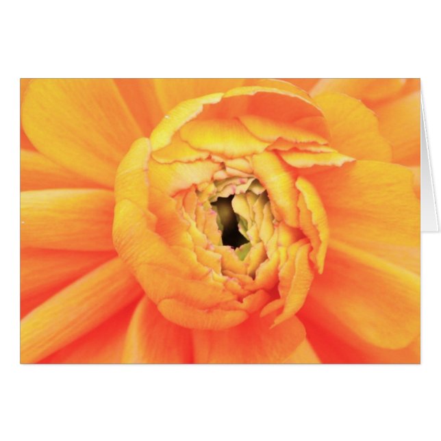 Cartão Desenrolamento (Frente Horizontal)