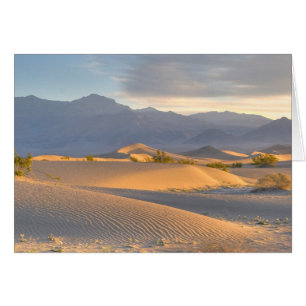 Cartão Desert Dawn