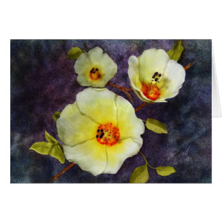 Cartão Desert Hibiscus