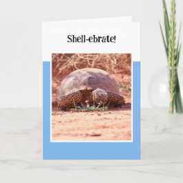 Cartão Desert Tortoise Folded Birthday Card