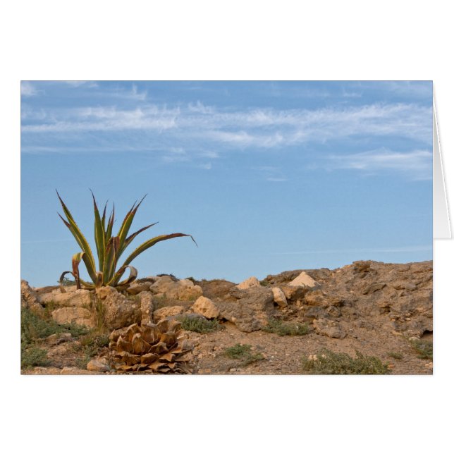 Cartão deserto (Frente Horizontal)