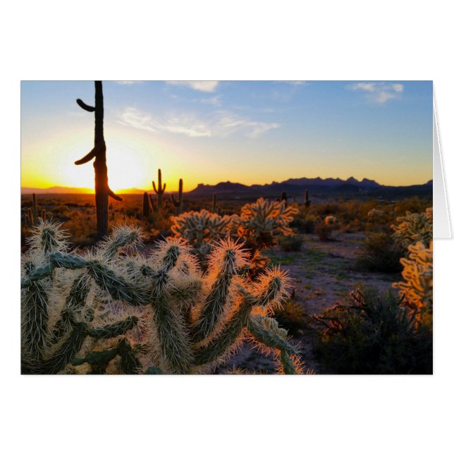 Cartão Deserto De Sonoro De Arizona Solar Com Saguaro Cac (Frente Horizontal)