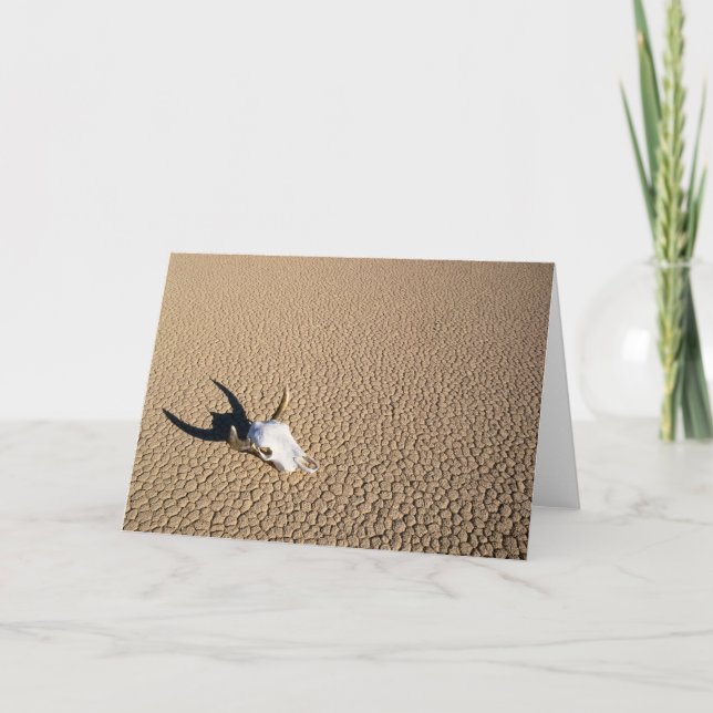 Cartão Desertos | Crânio de vaca no deserto (Frente)