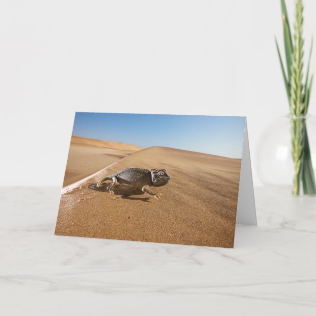 Cartão Deserts | Namaqua Chameleon in Desert (Frente)