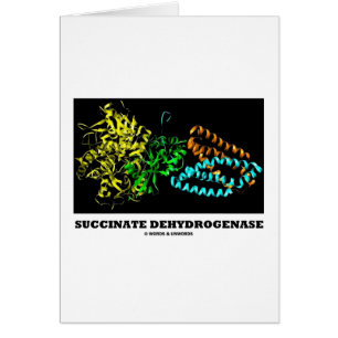 Cartão Desidrogenase do Succinate (química)