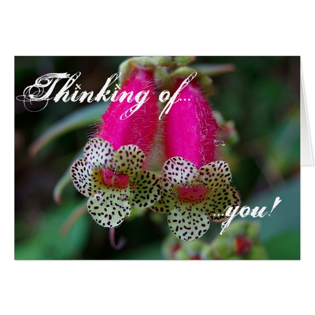 Cartão Design de Flor-Leopardo (Frente Horizontal)