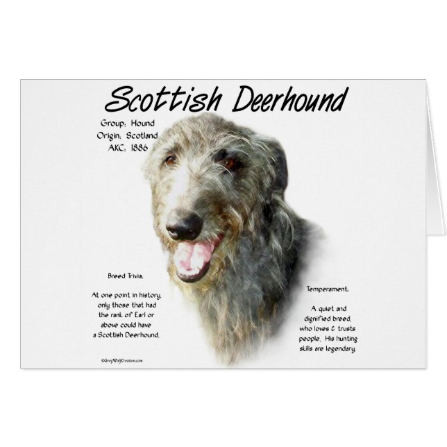 Cartão Design de História de Deerhound Escocês (Frente Horizontal)