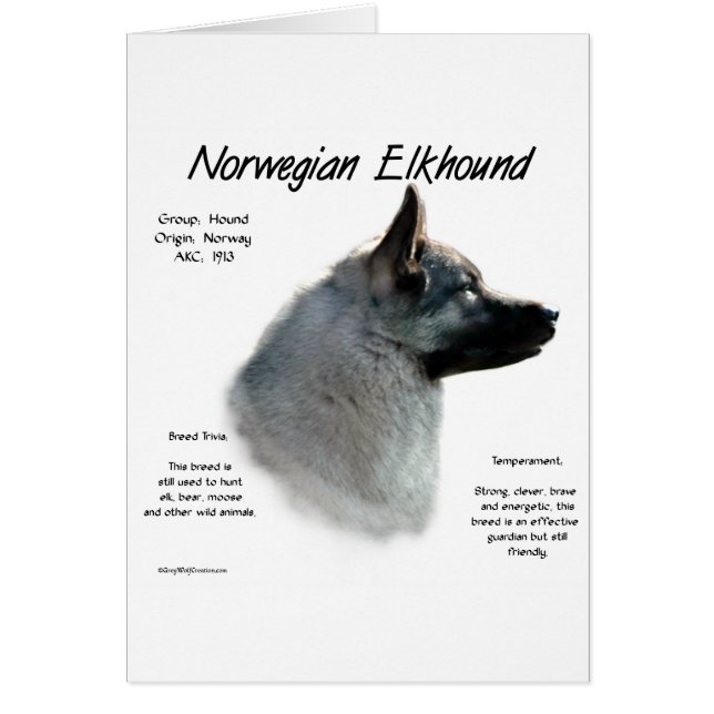 Cartão Design de História de Elkhound Norueguês (Frente)