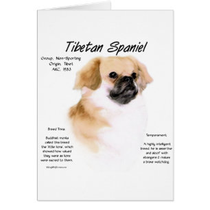 Cartão Design de História de Espanhol Tibetano