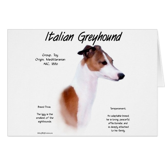 Cartão Design de História de Greyhound Italiano (Frente Horizontal)