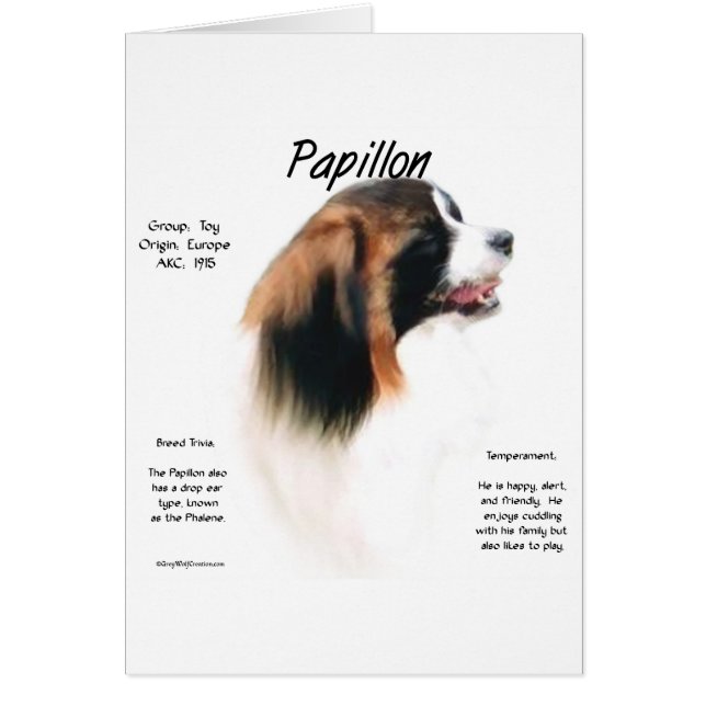 Cartão Design de História de Papillon (Phalene) (Frente)