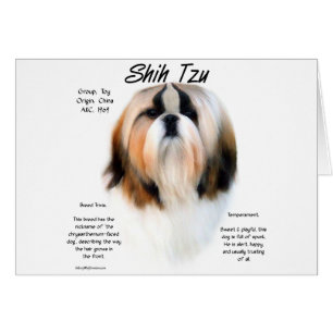 Cartão Design de História de Shih Tzu