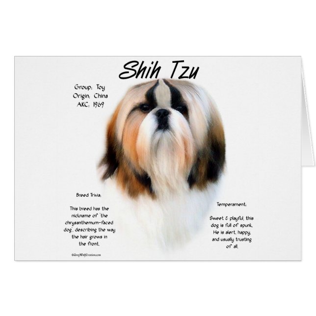 Cartão Design de História de Shih Tzu (Frente Horizontal)