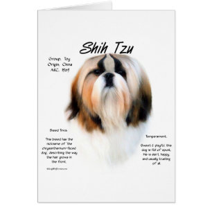 Cartão Design de História de Shih Tzu