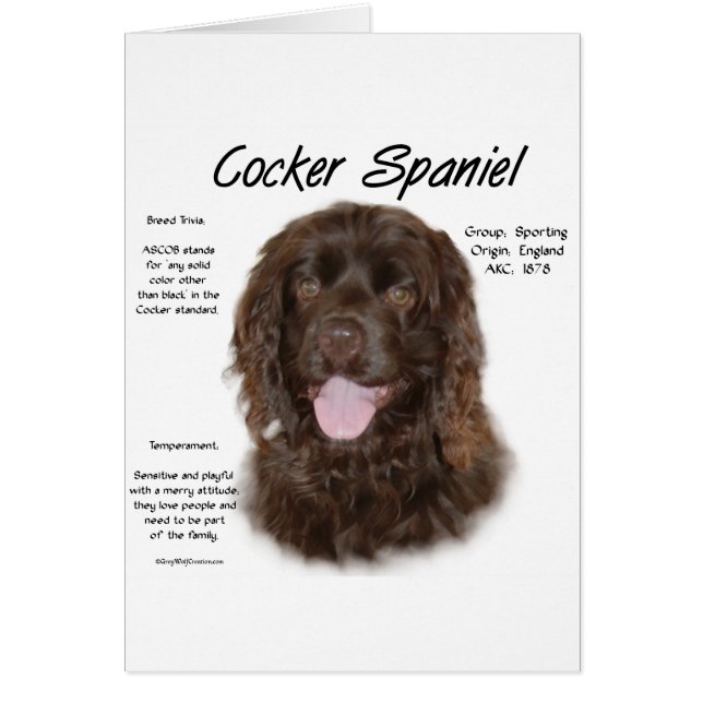 Cartão Design de História do Cocker Spaniel (brn) (Frente)