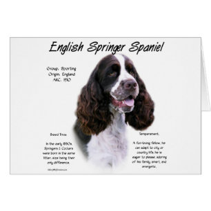Cartão Design de História do Inglês Springer Spaniel (fíg