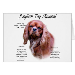 Cartão Design de História do inglês Toy Spaniel (ruby)
