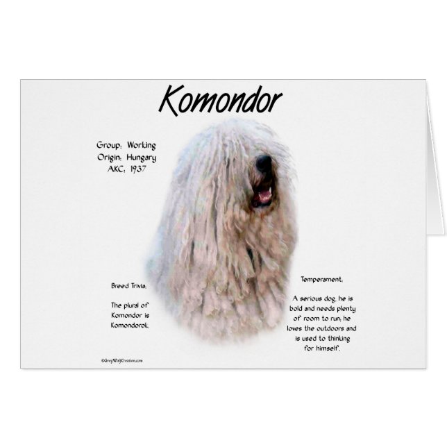 Cartão Design de História do Komondor (Frente Horizontal)