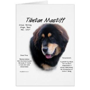 Cartão Design de História do Mastiff Tibetano