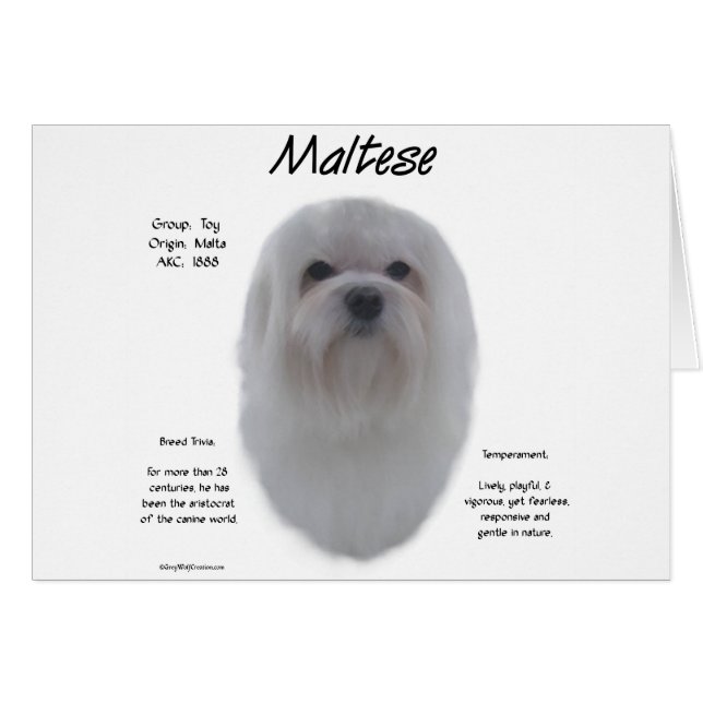 Cartão Design de História Maltês (Frente Horizontal)