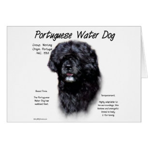 Cartão Design de História Portuguesa do Cão de Água