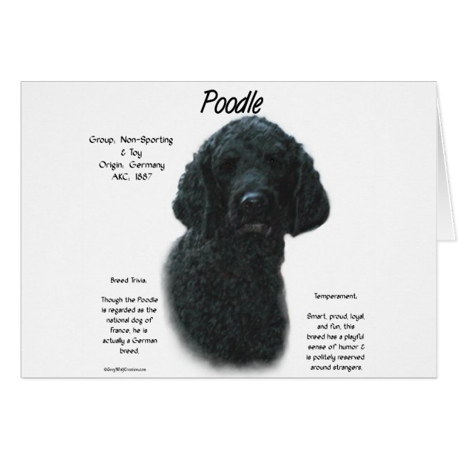 Cartão Design de Histórico de Poodle (preto) (Frente Horizontal)