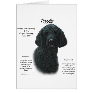 Cartão Design de Histórico de Poodle (preto)