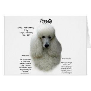 Cartão Design de Histórico de Poodle (wht)