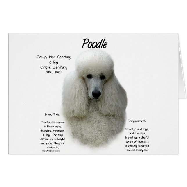 Cartão Design de Histórico de Poodle (wht) (Frente Horizontal)