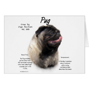 Cartão Design de Histórico de Pug