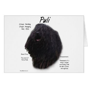 Cartão Design de Histórico de Puli