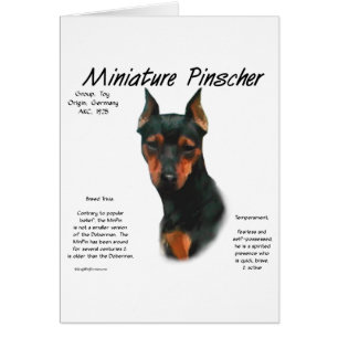 Cartão Design de histórico do Pinscher Miniatura (preto/f