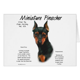 Cartão Design de histórico do Pinscher Miniatura (preto/f