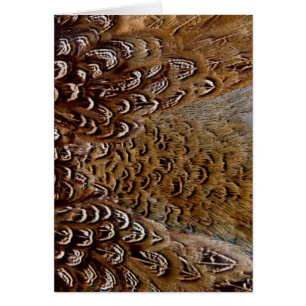 Cartão Design de Pheasant Feather Brown