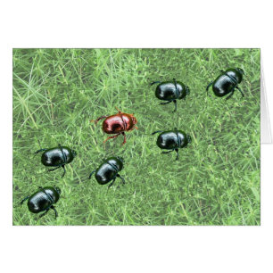 Cartão Design do besouro