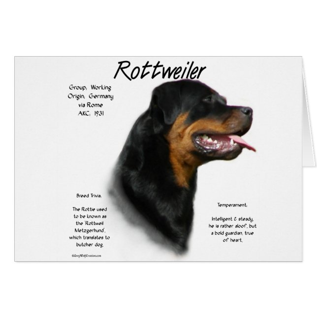 Cartão Design do Histórico do Rottweiler (Frente Horizontal)