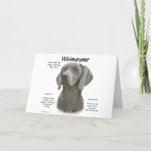 Cartão Design do Histórico do Weimaraner