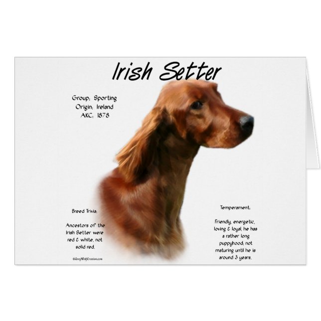Cartão Design do Irish Setter History (Frente Horizontal)