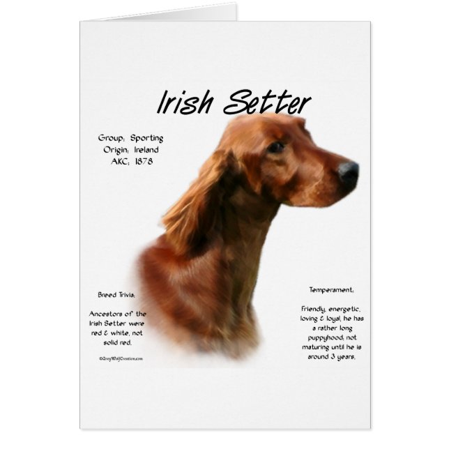 Cartão Design do Irish Setter History (Frente)