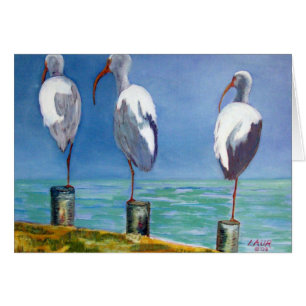 Cartão Design dos íbis