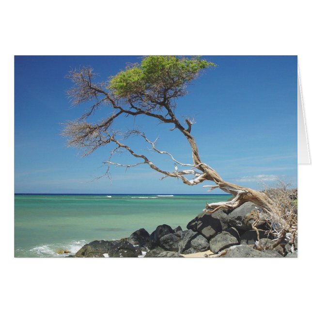 Cartão Desligando (Frente Horizontal)