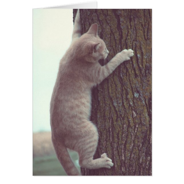 Cartão Desligar (Frente)