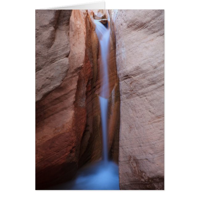 Cartão Desolar Oasis (Frente)