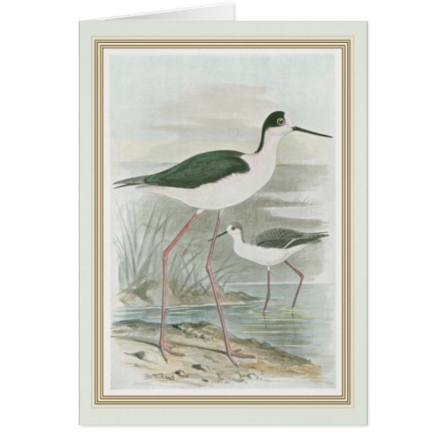 Cartão Destilações de nervo preto pela água (Frente)