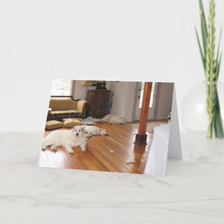 Cartão Destruição por atacado