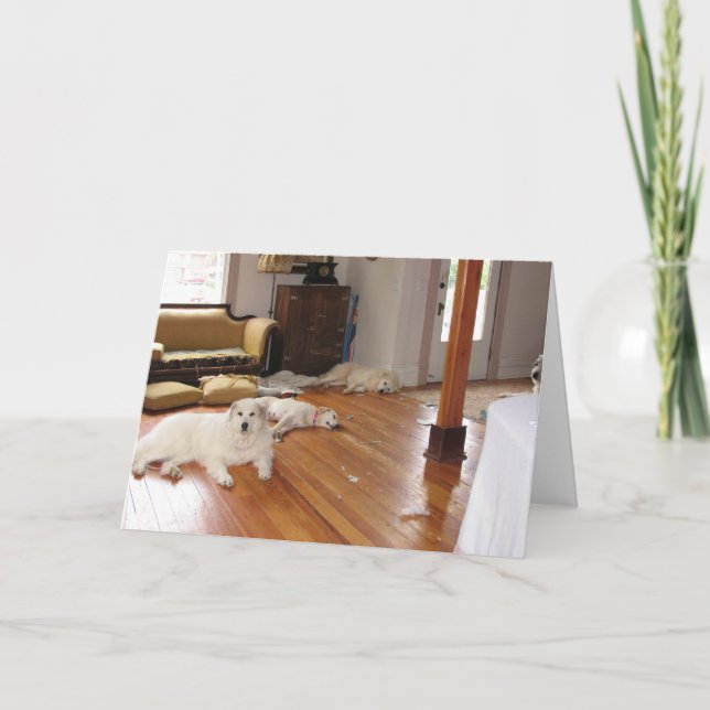 Cartão Destruição por atacado (Frente)