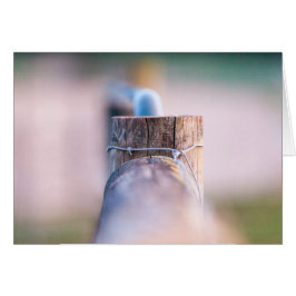 Cartão Detalhe de Fenceline